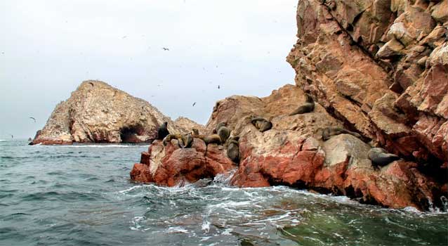 islas-ballestas-city islas-ballestas-city